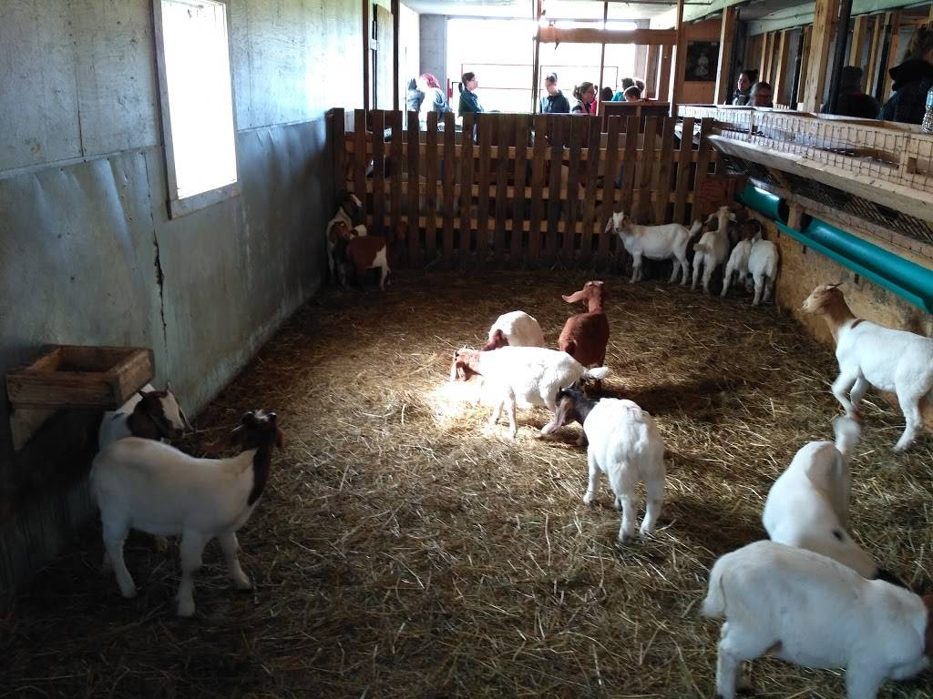 Table Champêtre Terre des Boers | restaurant | 1749 Chemin de la Rivière, Sainte-Clotilde-de-Châteauguay, QC J0L 1W0, Canada | 5147569713 OR +1 514-756-9713