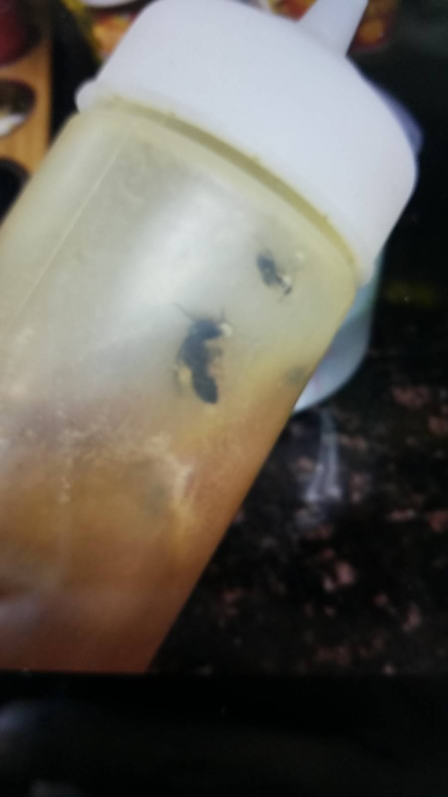 Lexington Deli | restaurant | 3080 Lexington Ave, Mohegan Lake, NY 10547, USA | 9145280202 OR +1 914-528-0202