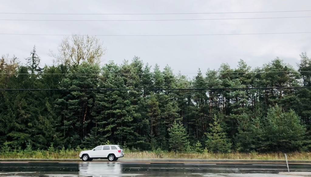 Subway | restaurant | Shell, 19364 ON-48, Mount Albert, ON L0G 1M0, Canada | 9054735739 OR +1 905-473-5739