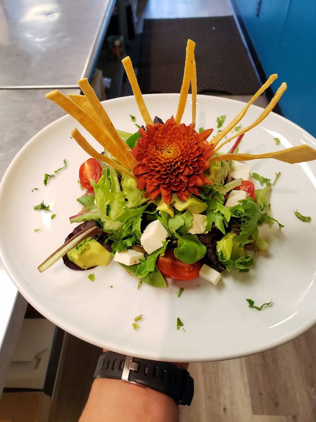 La Nueva Luna by Chef Luna | restaurant | 3980 W Wedington Dr, Fayetteville, AR 72701, USA | 4794456644 OR +1 479-445-6644