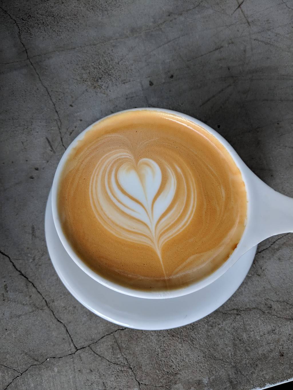 Panther Coffee - Coconut Grove | cafe | 3407 Main Hwy, Miami, FL 33133, USA | 3056773952 OR +1 305-677-3952