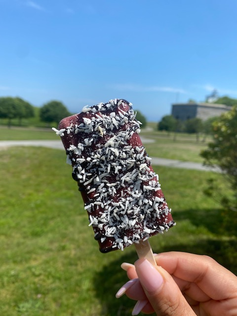 Sorbae Frozen Treats | restaurant | 1353 Purchase St, New Bedford, MA 02740, USA | 5087173005 OR +1 508-717-3005