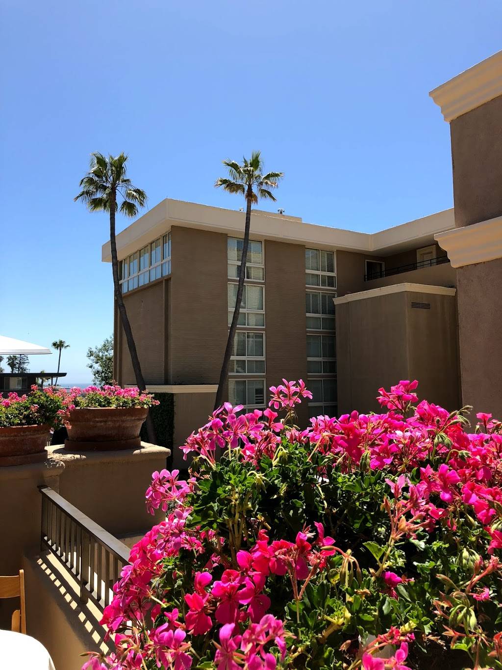 Surf and Sand Resort | restaurant | 1555 S Coast Hwy, Laguna Beach, CA 92651, USA | 8885798544 OR +1 888-579-8544