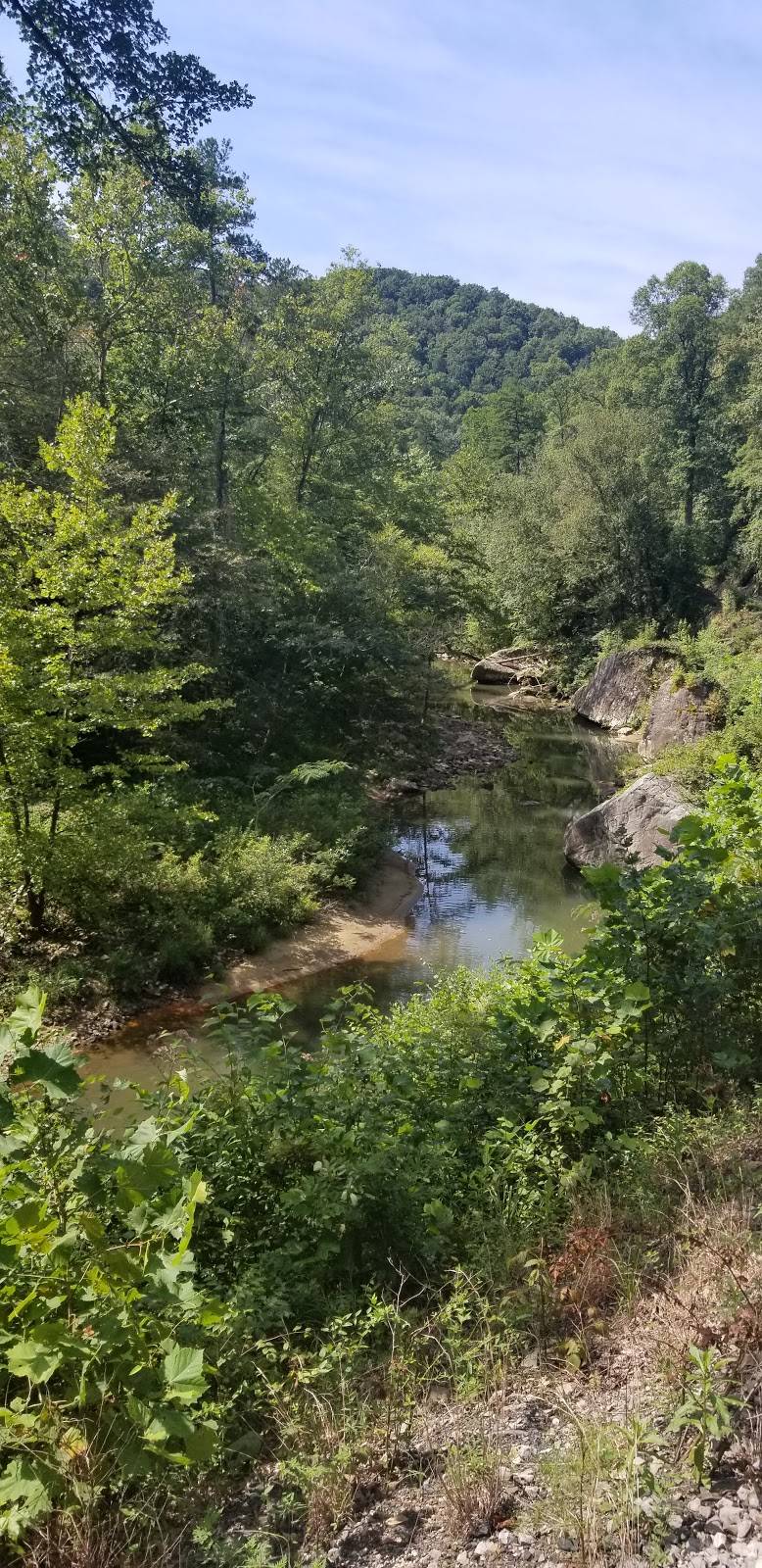 Big South Fork Scenic Railway | restaurant | 66 Henderson St, Stearns, KY 42647, USA | 8004625664 OR +1 800-462-5664