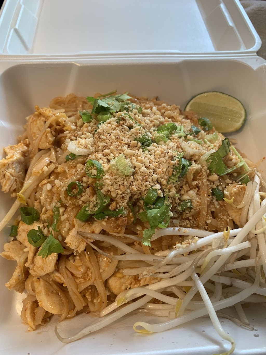 Thaiger 2 Go | restaurant | 2933 US-201, West Forks, ME 04985, USA | 2073997768 OR +1 207-399-7768