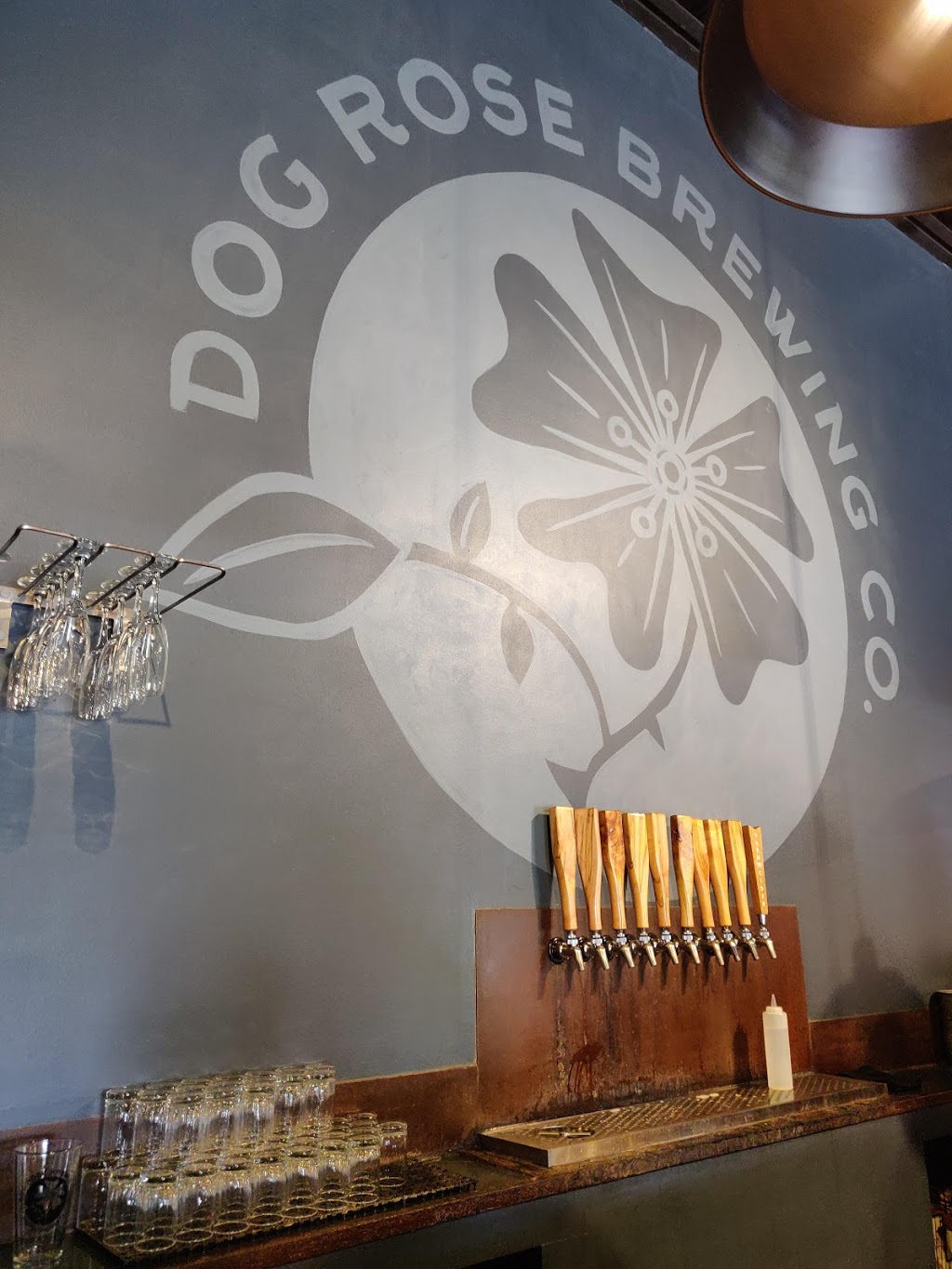 Dog Rose Brewing Co. | restaurant | 77 Bridge St, St. Augustine, FL 32084, USA | 9042173355 OR +1 904-217-3355