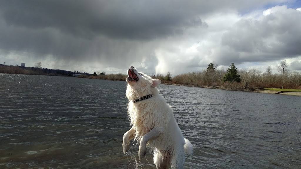 KFC | restaurant | 1110 E Wishkah St, Aberdeen, WA 98520, USA | 3605335757 OR +1 360-533-5757