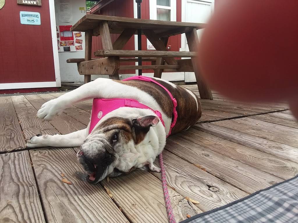 Lil Red Caboose | restaurant | 249 Sodus St, Clyde, NY 14433, USA | 3159239234 OR +1 315-923-9234