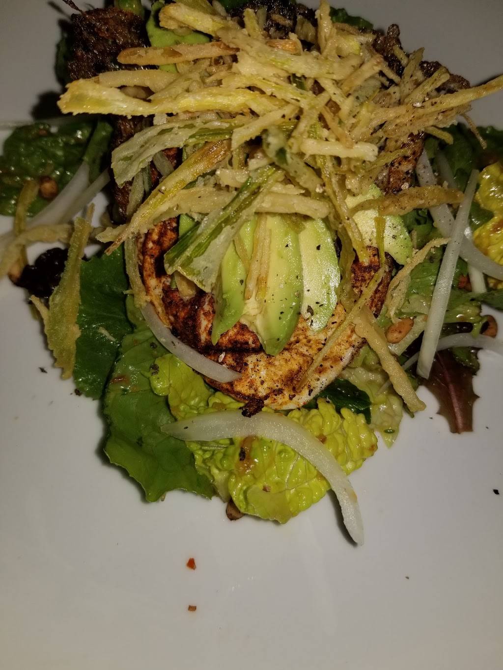 Martinis Organic Restaurant | restaurant | 1815 S Ridgewood Ave, South Daytona, FL 32119, USA | 3867631090 OR +1 386-763-1090