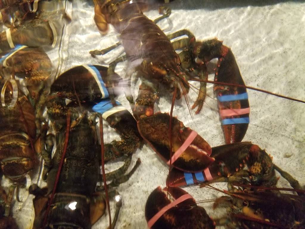 Red Lobster | restaurant | 1545 S Mooney Blvd, Visalia, CA 93277, USA | 5597388527 OR +1 559-738-8527