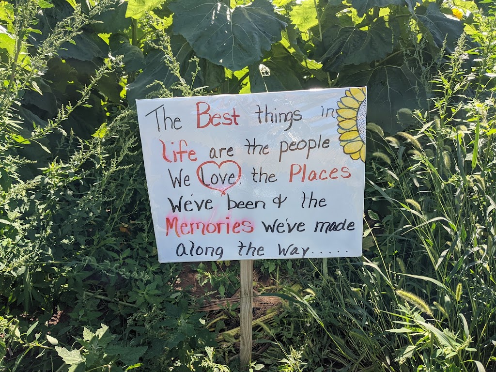 Homestead Kitchen & Tap | restaurant | N7551 Co Rd D, Algoma, WI 54201, USA | 9204870105 OR +1 920-487-0105