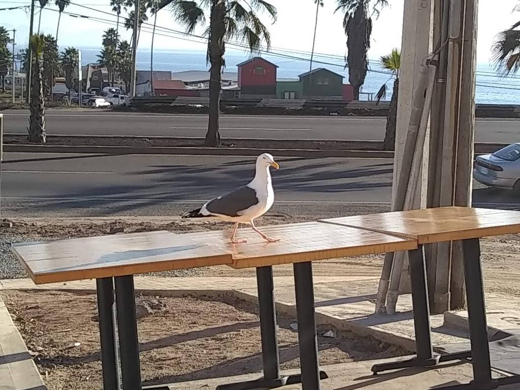 Náufrago Cervecería | restaurant | México 3, C.I.C.E.S.E., 22860 Ensenada, B.C., Mexico | 016461504779 OR +52 646 150 4779