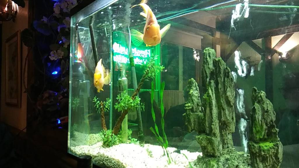 Restaurant Ly Anh | restaurant | 38 Rue Saint-Joseph, Granby, QC J2G 6T6, Canada | 4503729993 OR +1 450-372-9993