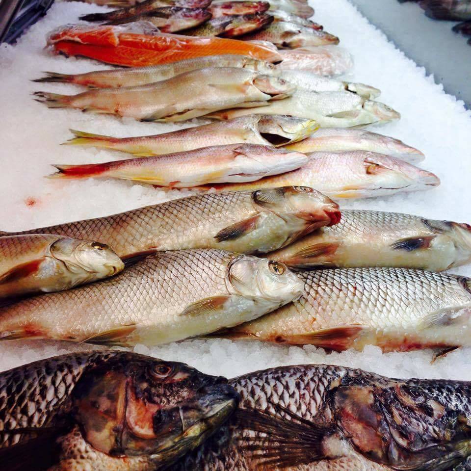 Lansing Fish Market | restaurant | 815 Edgewood Blvd # D, Lansing, MI 48911, USA | 5178822676 OR +1 517-882-2676