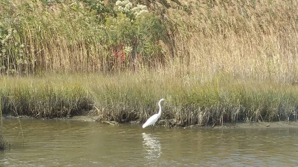 AJs on the creek | night club | 6585 Maddox Blvd, Chincoteague, VA 23336, USA | 7573365888 OR +1 757-336-5888