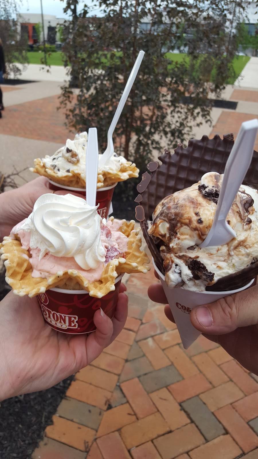 Cold Stone Creamery | bakery | 3700 Rigby Rd, Miamisburg, OH 45342, USA | 9372475658 OR +1 937-247-5658