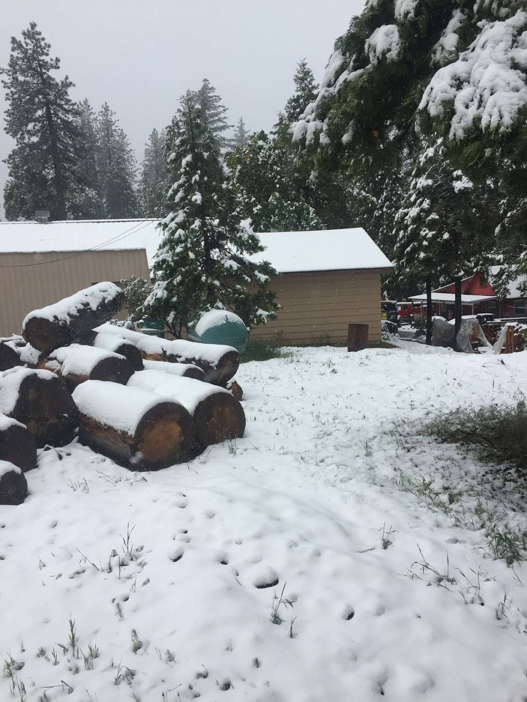 Sweet Peas Restaurant and Bakery | restaurant | 24556 CA-108, Mi-Wuk Village, CA 95346, USA | 2094329081 OR +1 209-432-9081