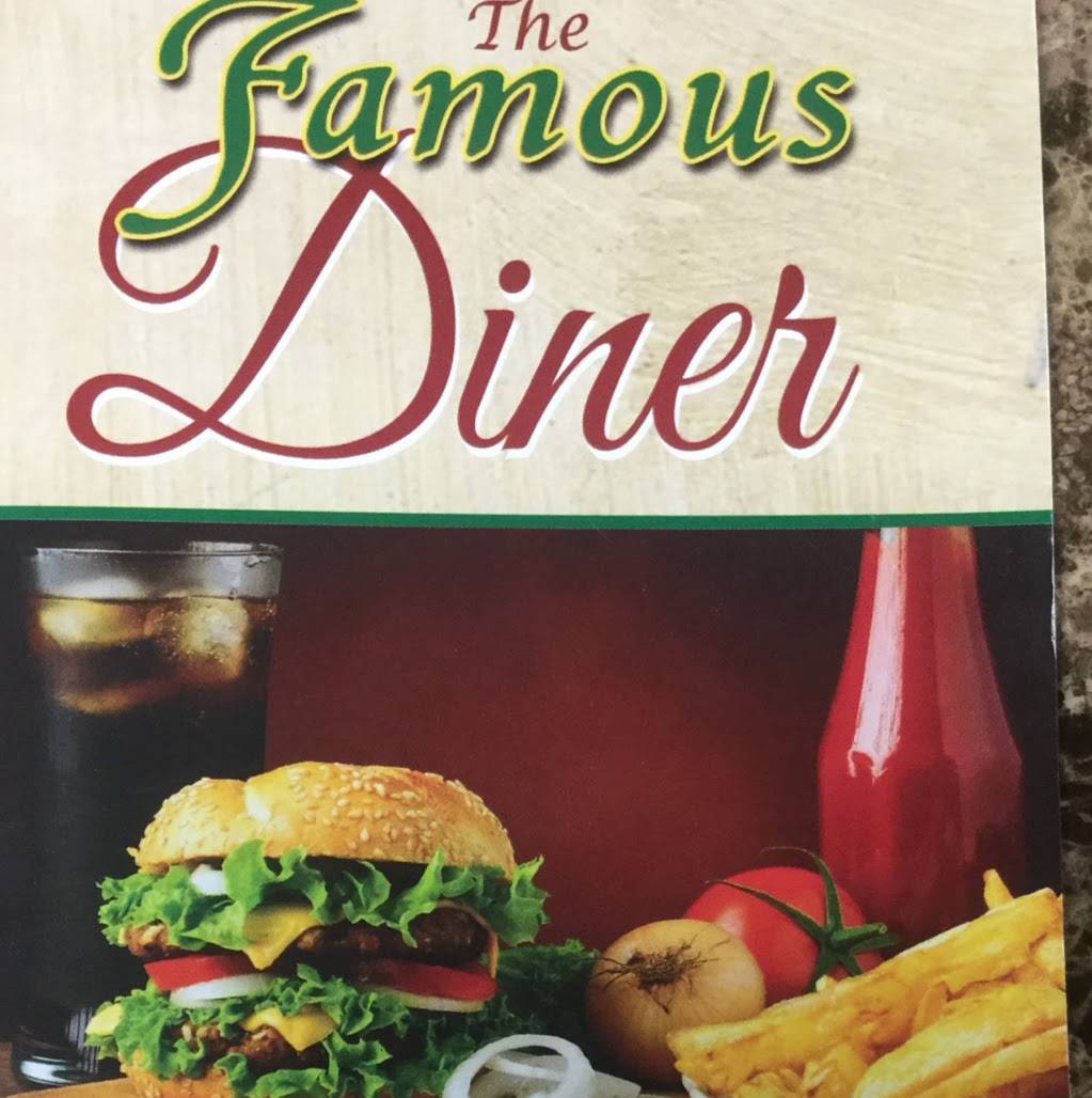 The famous diner | restaurant | 5833 Dorr St, Toledo, OH 43615, USA | 4192149049 OR +1 419-214-9049