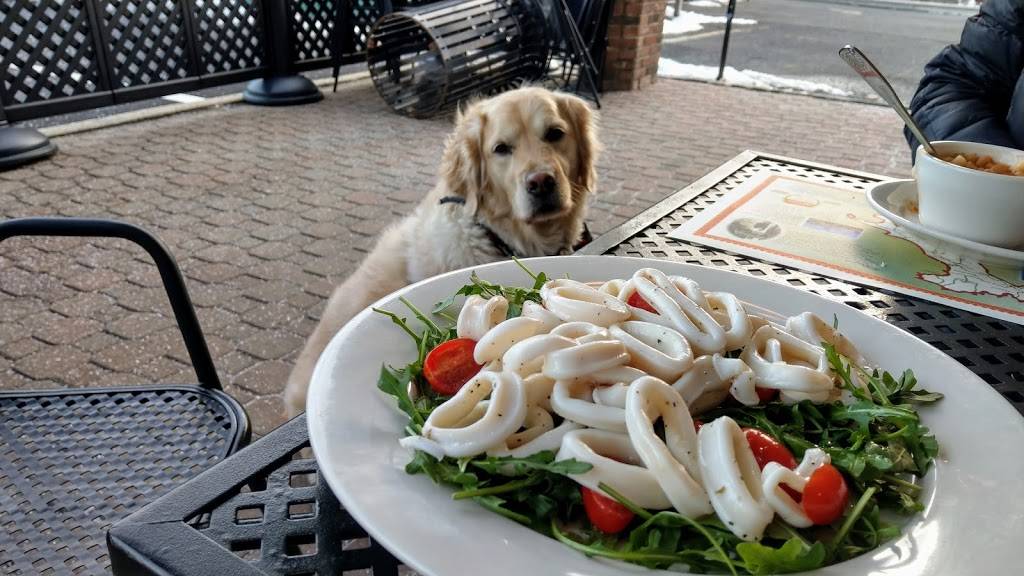 Bellariva Trattoria & Pizzeria | restaurant | 1275 Springfield Ave, New Providence, NJ 07974, USA | 9086650033 OR +1 908-665-0033