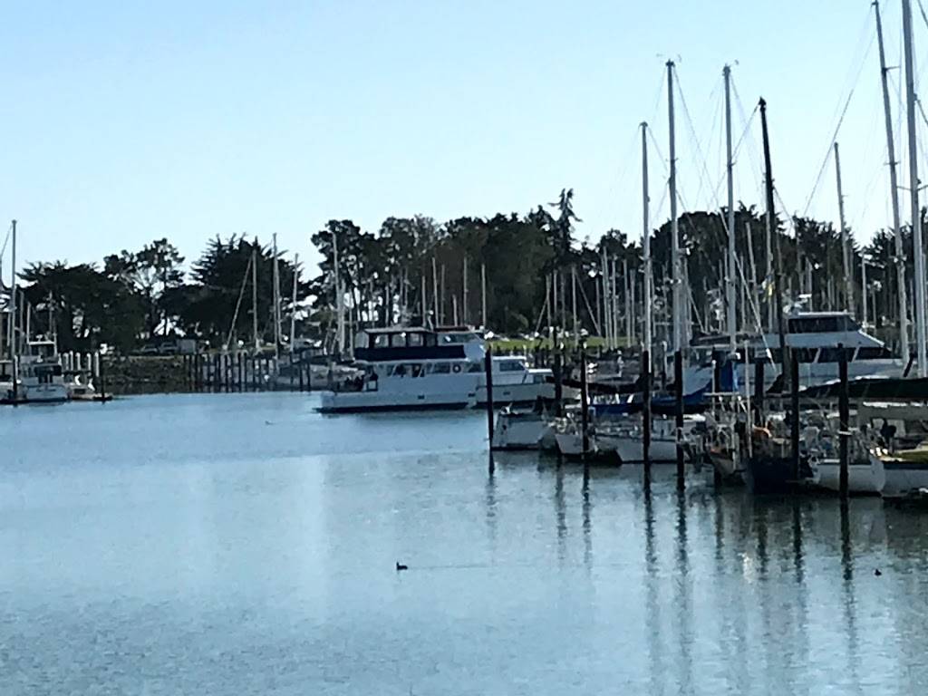 Hornblower Cruises & Events | restaurant | 200 Marina Blvd, Berkeley, CA 94710, USA | 4157888866 OR +1 415-788-8866