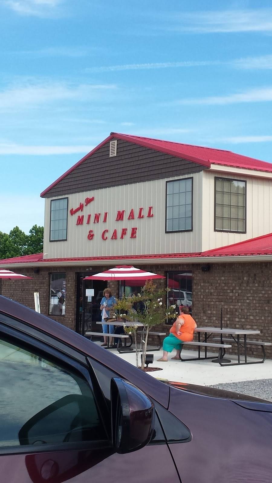 County Line Mini Mall & Cafe | restaurant | 20677 E Lynchburg Salem Turnpike, Forest, VA 24551, USA | 4346162552 OR +1 434-616-2552