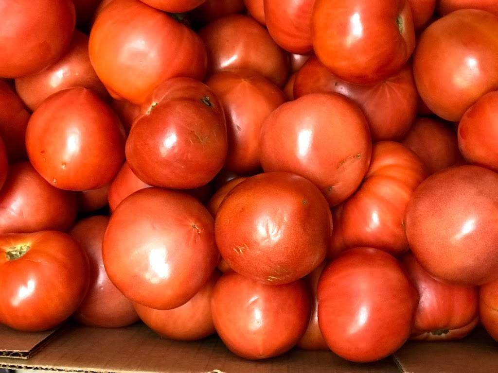 Cocina Mio | restaurant | 3322 Davison Rd, Flint, MI 48506, USA | 8103360926 OR +1 810-336-0926