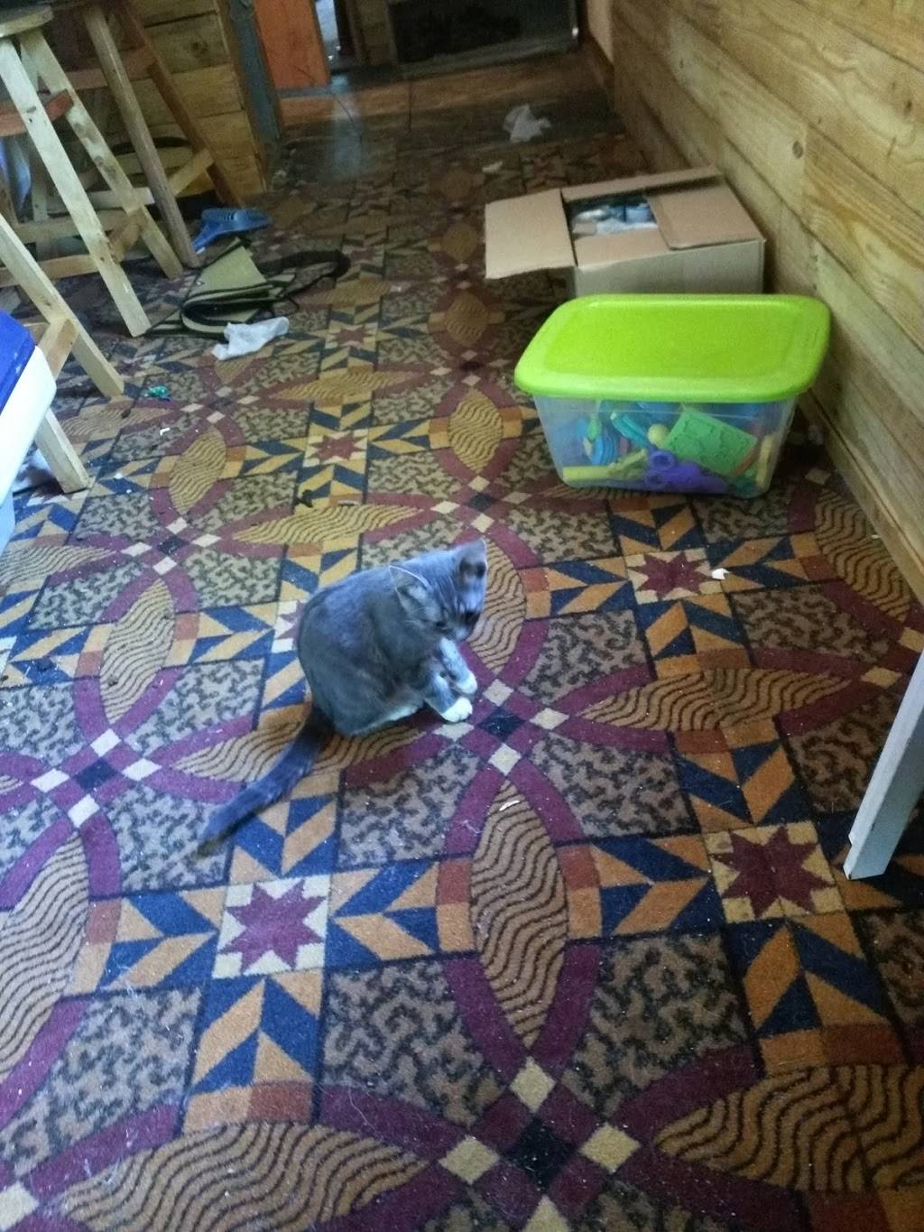 Little Caesars Pizza | meal takeaway | 324 S Mission St, Mt Pleasant, MI 48858, USA | 9897731121 OR +1 989-773-1121