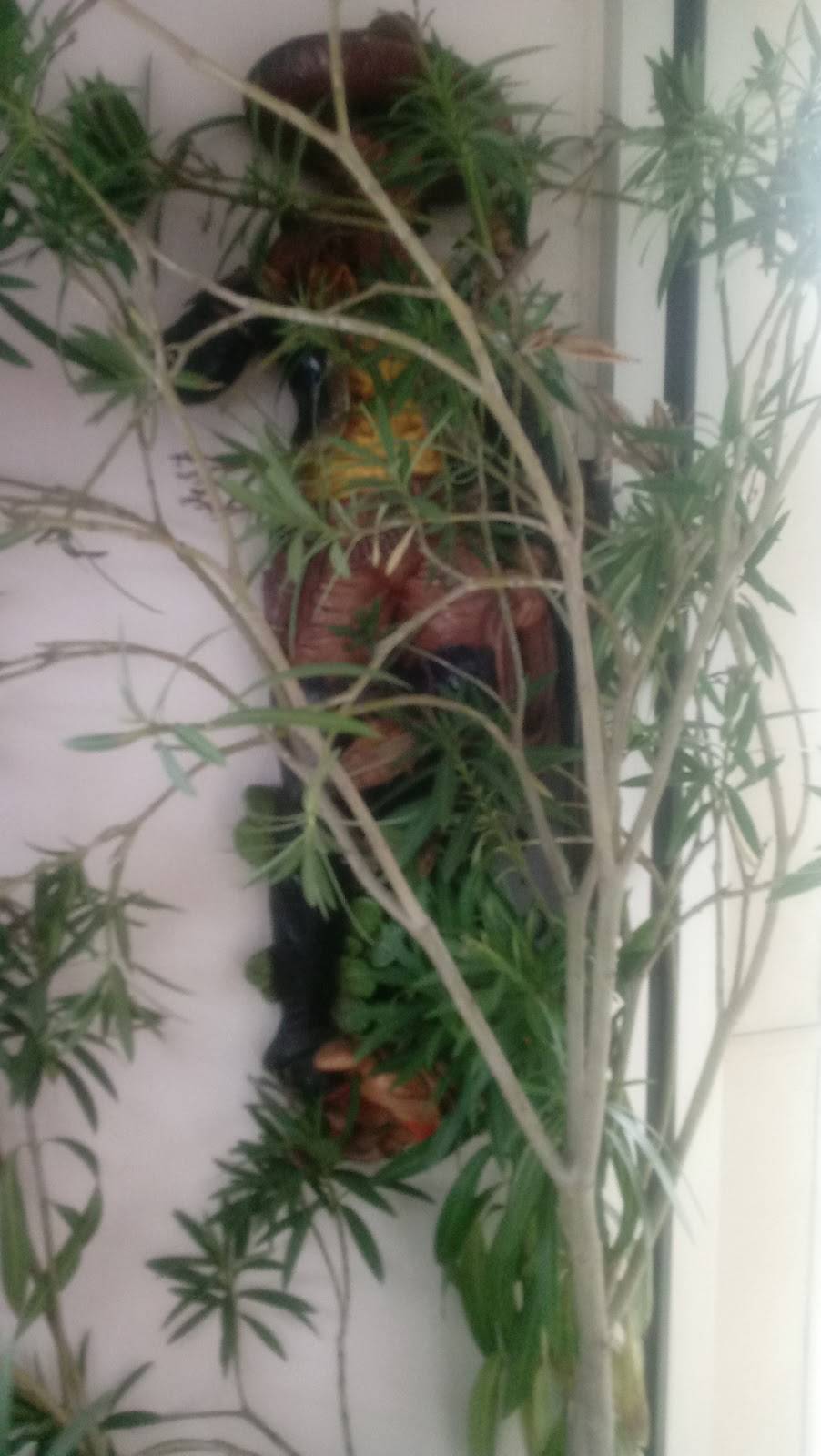 Frans Beef | restaurant | 2021 S Blue Island Ave, Chicago, IL 60608, USA | 3124218188 OR +1 312-421-8188