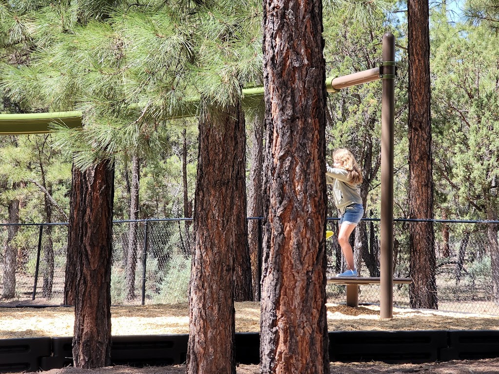 Torreon Golf Club | restaurant | 651 S Torreon Loop, Show Low, AZ 85901, USA | 9285328000 OR +1 928-532-8000