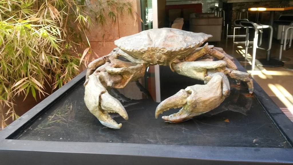 SANO´S STEAK HOUSE | restaurant | Carretera Tijuana-Ensenada Km 108.5, Zona Playitas, Quintas Papagayo, 22860 Ensenada, B.C., Mexico | 016461744061 OR +52 646 174 4061