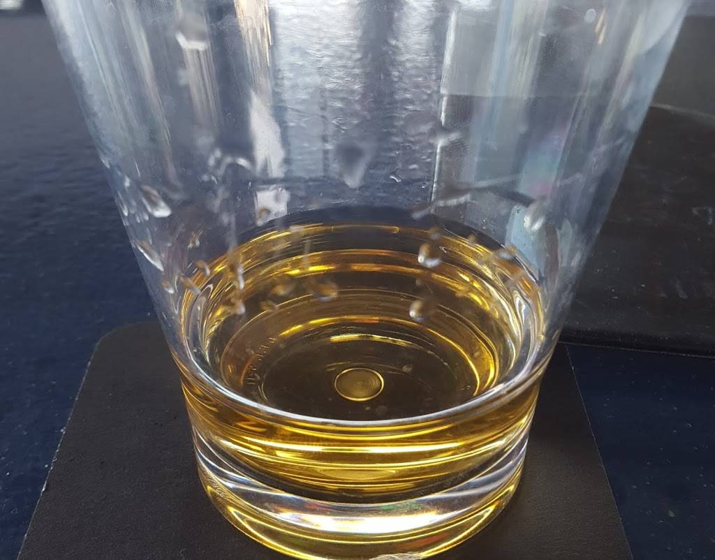 Speedboat Bar & Grill | restaurant | 749 Biddle Ave, Wyandotte, MI 48192, USA | 7342825750 OR +1 734-282-5750