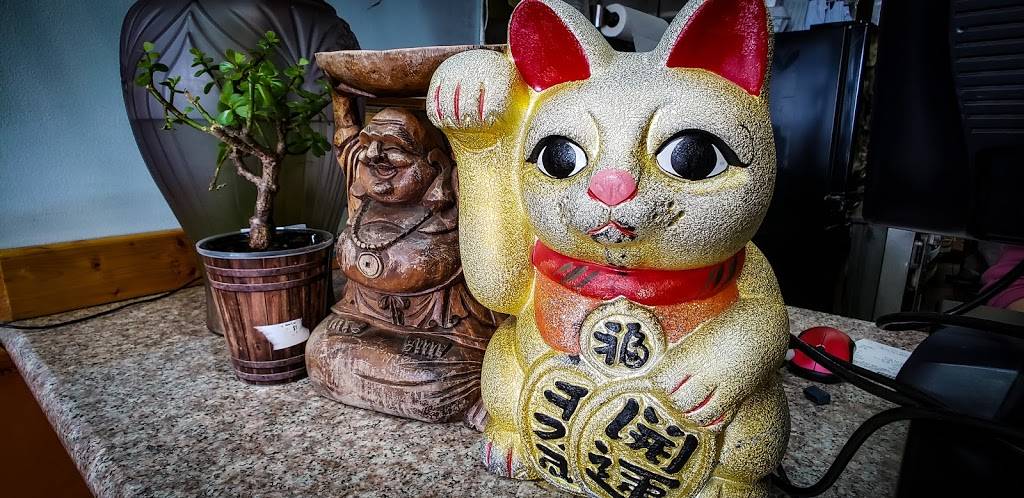 Yummy Wok | restaurant | 6018, 1050 S Ponce De Leon Blvd, St. Augustine, FL 32084, USA | 9048261558 OR +1 904-826-1558