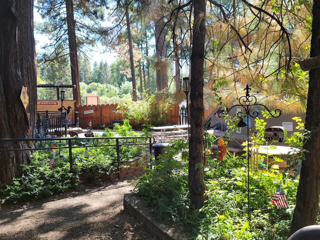 Pioneer Hillside Pizza | restaurant | 31232 CA-44 #4, Shingletown, CA 96088, USA | 5304744007 OR +1 530-474-4007