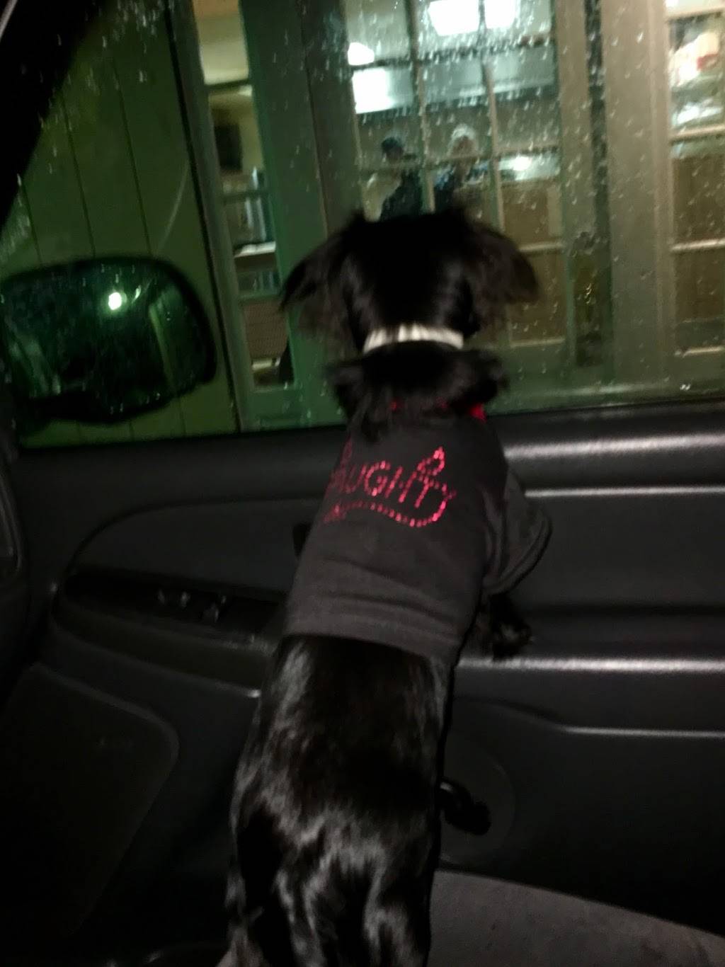 Pasquale Pizza | restaurant | 3060 Compass Rd, Honey Brook, PA 19344, USA | 6102739330 OR +1 610-273-9330