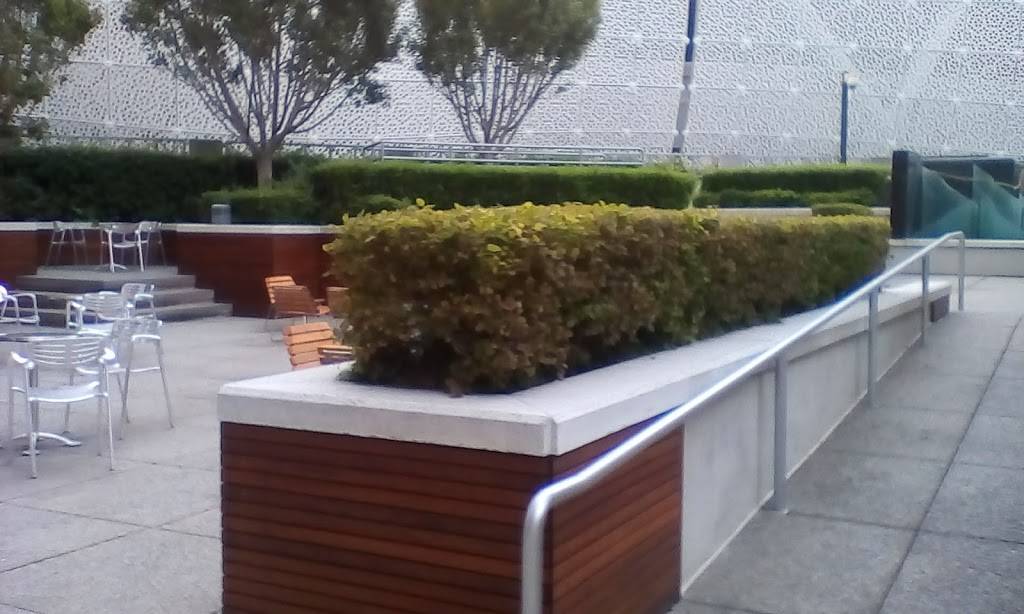 Sausalito Cafe | cafe | 100 1st St, San Francisco, CA 94105, USA | 4152229922 OR +1 415-222-9922