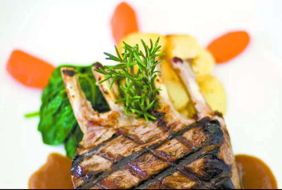 Cafe Il Cortile | restaurant | 2953, 8445 W Lawrence Ave, Chicago, IL 60656, USA | 7736257087 OR +1 773-625-7087