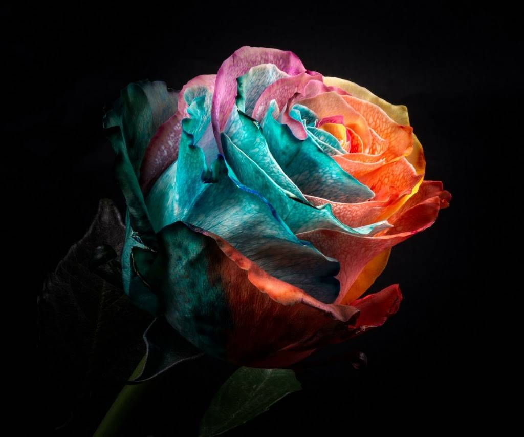 Sonic Drive-In | restaurant | 522 Veteran Memorial Hwy Drive, Abbeville, LA 70510, USA | 3378989444 OR +1 337-898-9444