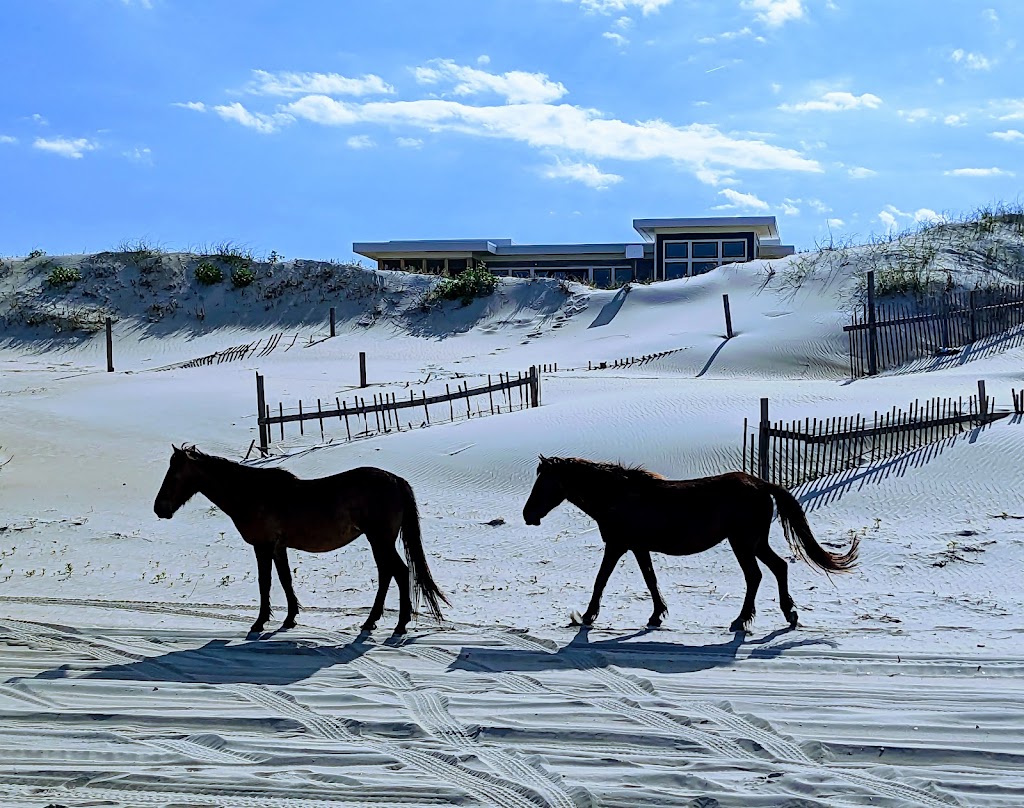 Wild Horse Inn | restaurant | 1196 Ocean Trail, Corolla, NC 27927, USA | 2525644671 OR +1 252-564-4671