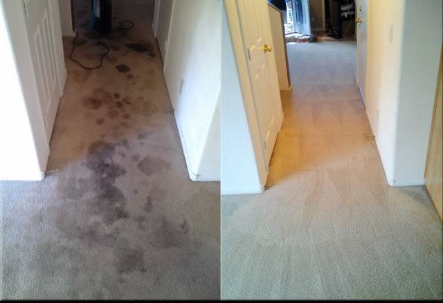 & Upholststery | meal takeaway | 7507 Woodman Ave #8, Van Nuys, CA 91405, USA | 8184713203 OR +1 818-471-3203