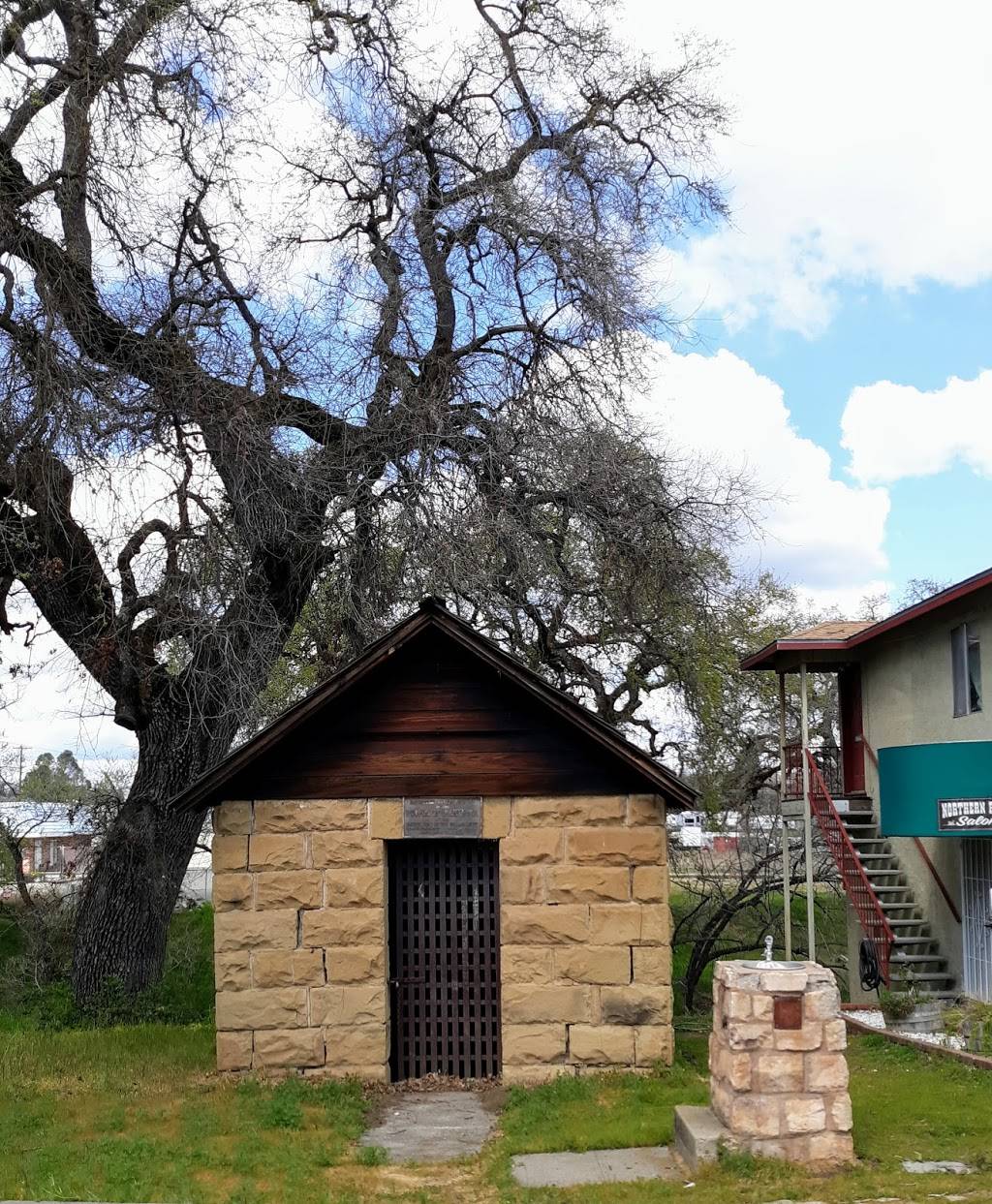 Fosters Freeze | restaurant | 9860 State Rte 53, Lower Lake, CA 95457, USA | 7079950685 OR +1 707-995-0685