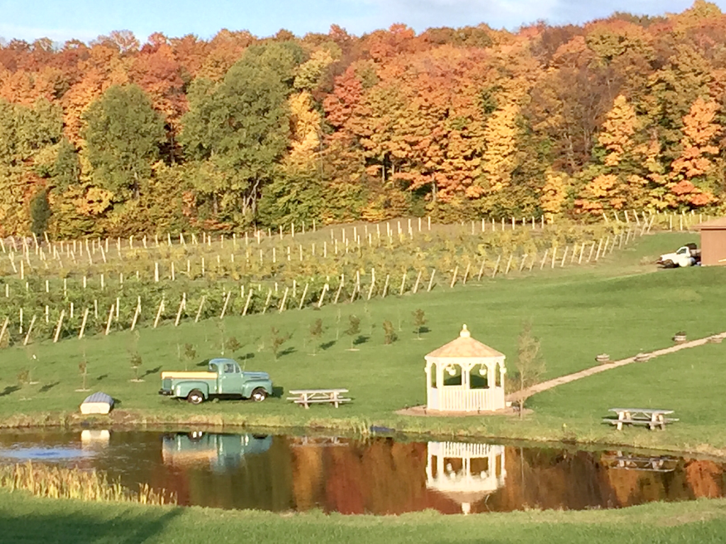 Mackinaw Trail Winery & Brewery - Petoskey | restaurant | 3423 US-131, Petoskey, MI 49770, USA | 2314871910 OR +1 231-487-1910