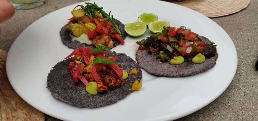 Humo&Sal | restaurant | Km 108, Zona Playitas, 22860 Ensenada, B.C., Mexico | 016461744061 OR +52 646 174 4061