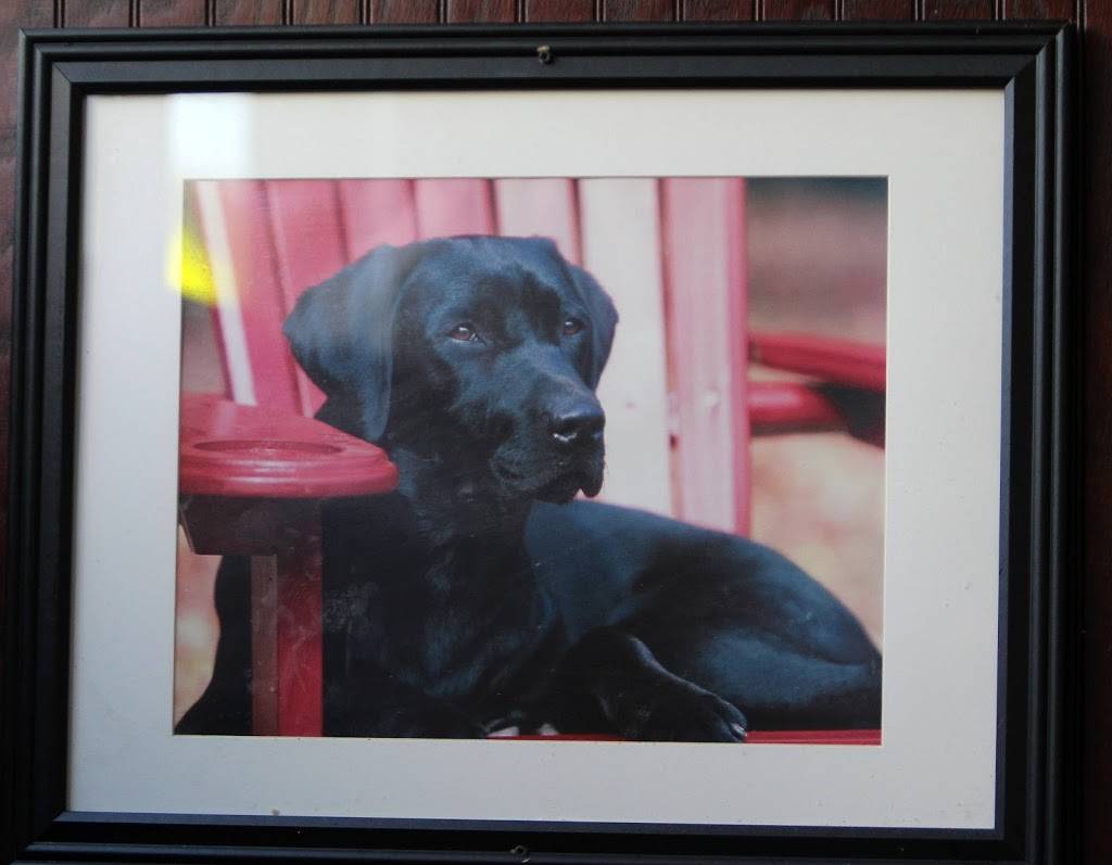 Three Dogs Tavern | restaurant | 3390 W 32nd Ave, Denver, CO 80211, USA | 7208541277 OR +1 720-854-1277