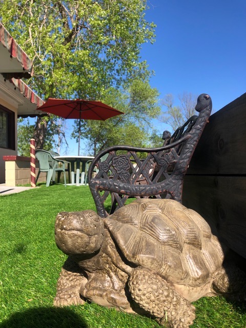 Coffee & Cream | cafe | 510 W Main St, Mecosta, MI 49332, USA | 9899676003 OR +1 989-967-6003