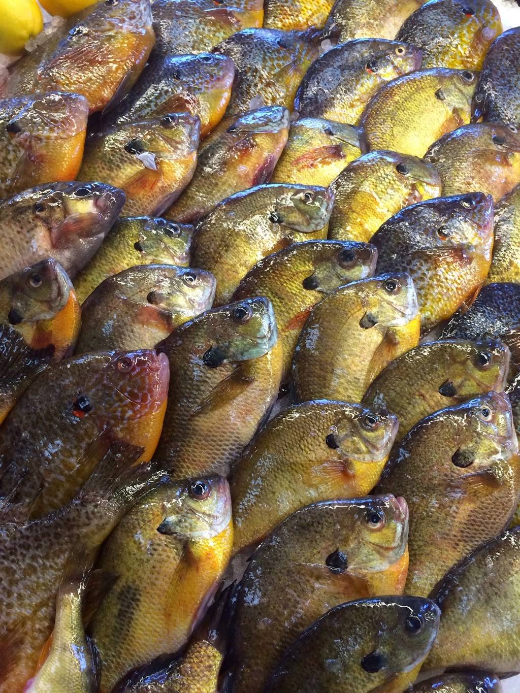 Mr Seas Fresh Fish & Seafood | restaurant | 12500 E Warren Ave, Detroit, MI 48215, USA | 3133315277 OR +1 313-331-5277