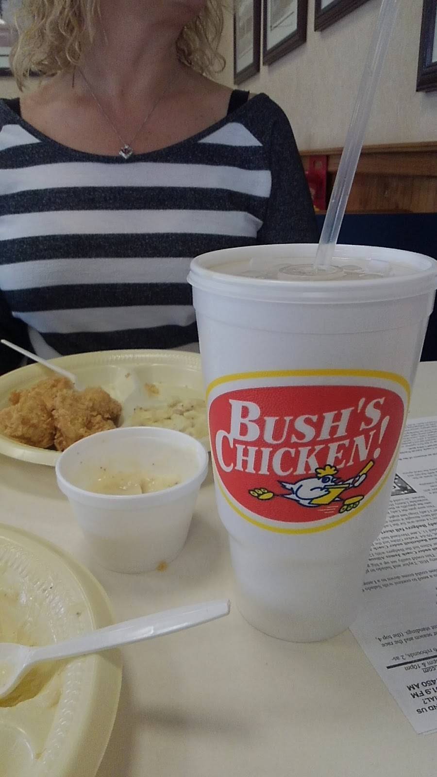 Bushs Chicken | restaurant | 1621 S Key Ave, Lampasas, TX 76550, USA | 5125566044 OR +1 512-556-6044