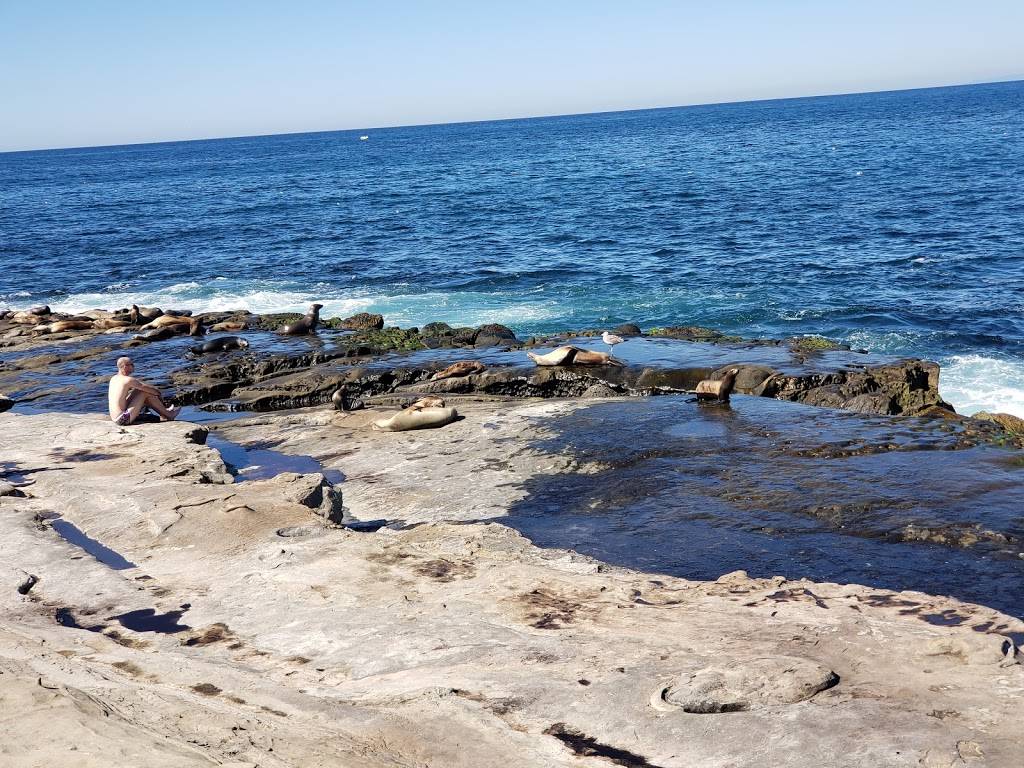 Potbelly Sandwich Shop | restaurant | 326 14th Ave SE, Minneapolis, MN 55414, USA | 6123310191 OR +1 612-331-0191