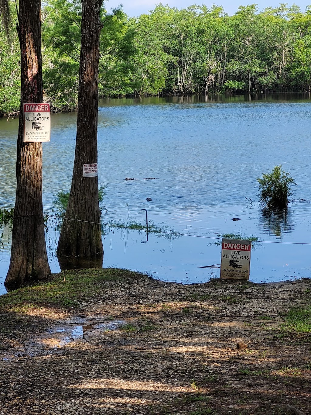 Gators Seafood Restaurant | restaurant | 4030 Farrington Rd, Milton, FL 32583, USA | 8506232661 OR +1 850-623-2661