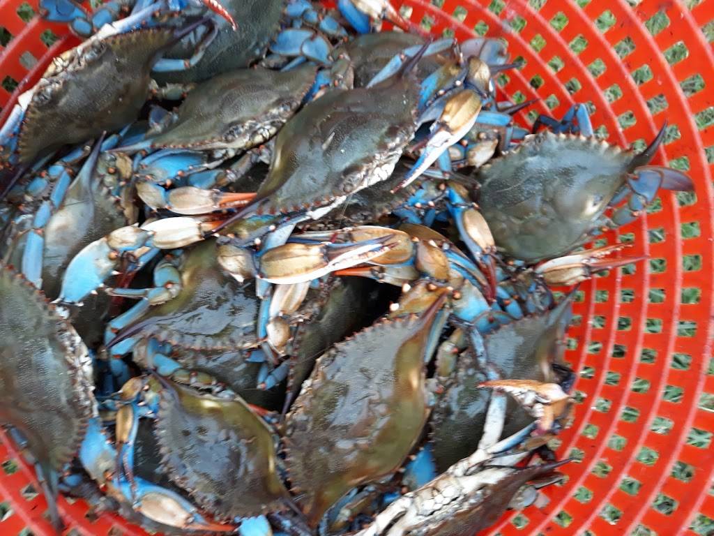 Mona Lisa Bar and Grill | restaurant | 439 Laroussini St, Westwego, LA 70094, USA | 5043417097 OR +1 504-341-7097