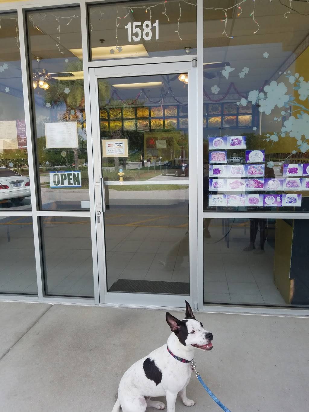 China Palace | restaurant | 1581 S Sumter Blvd, North Port, FL 34287, USA | 9414291780 OR +1 941-429-1780